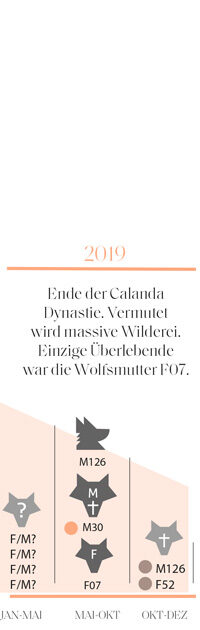 Darstellung des Jahres 2019