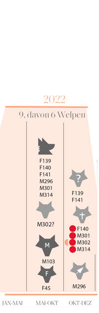 Darstellung des Jahres 2022