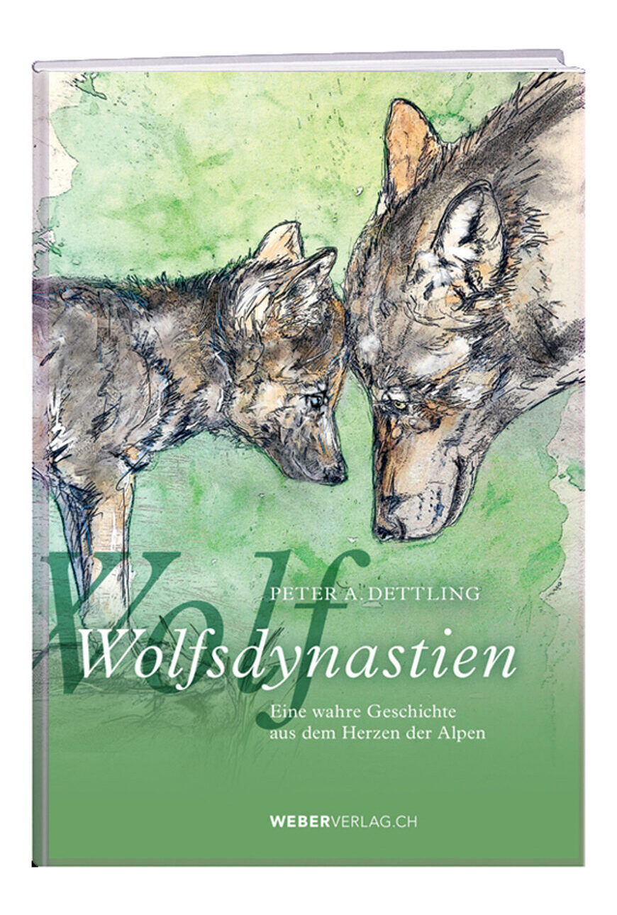 Wolfsdynastien